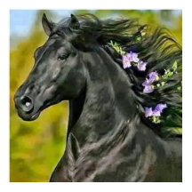 cheval noir crinière fleurie, Papier poster (mat)