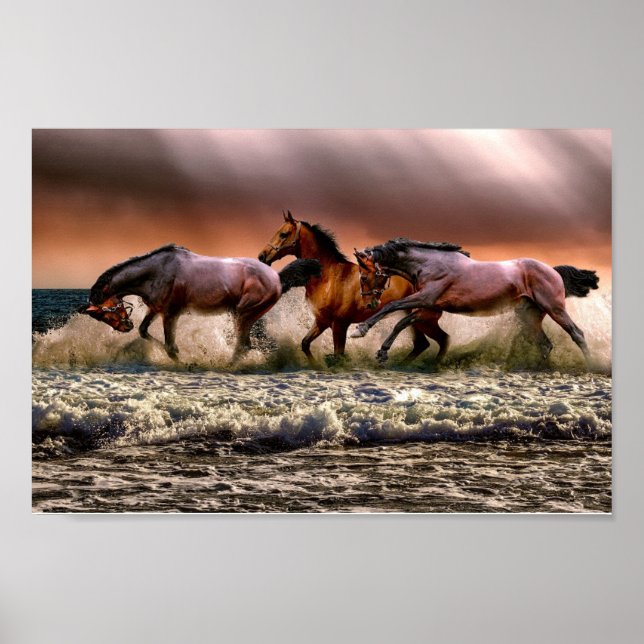 Chevaux Poster (Front)