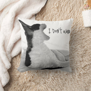 Chewy sez... I don't wanna. Cushion