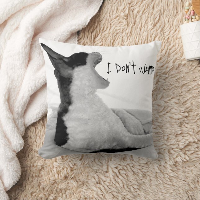 Chewy sez... I don't wanna.  Cushion (Blanket)