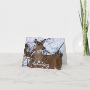 Chewy Thinking Of You Card