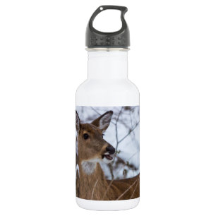 Chewy Water Bottle