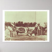 Cheyenne Indians on the Move, 1878 (b/w photo)