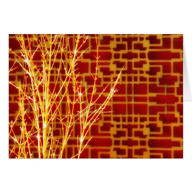 chi (Front Horizontal)