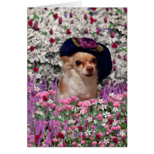 Chi Chi in Flowers  - Chihuahua Puppy in Cute Hat