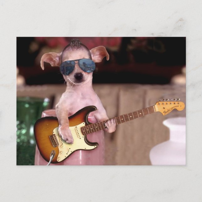 Chi Chi the Guitar Player Postcard (Front)