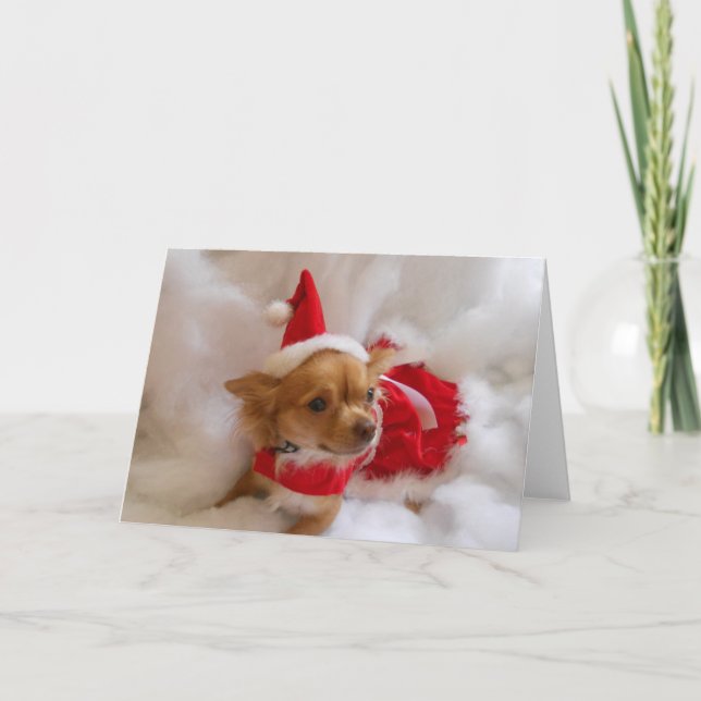 chi Christmas card (Front)