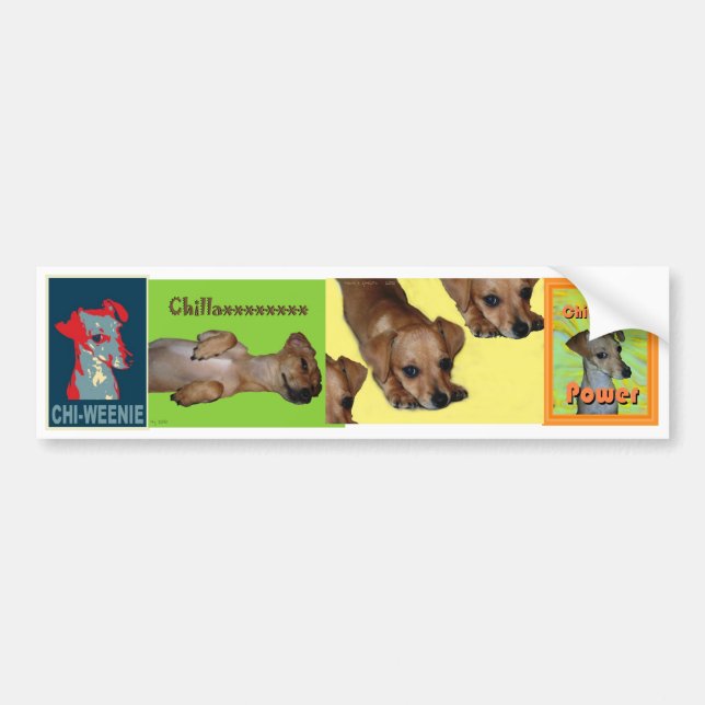 Chi-weenie Bumper Sticker (Front)