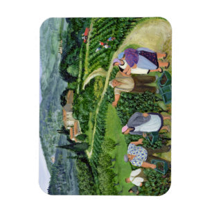 Chianti Classico Villa Trasqua Magnet