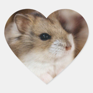Chibby Heart Sticker
