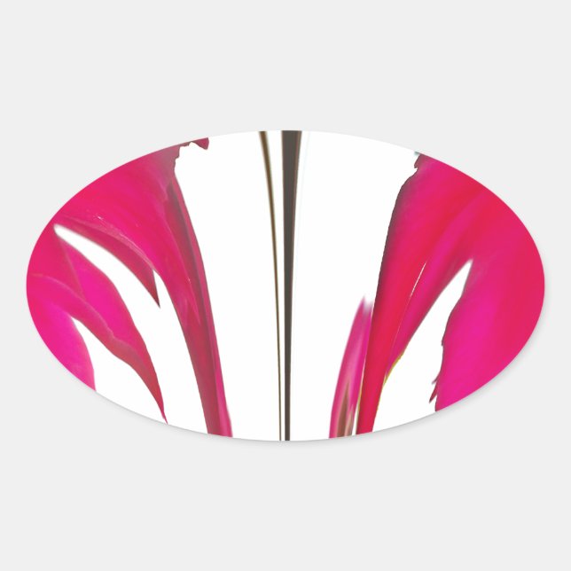 Chic amazing Red rose under the white sky.png Oval Sticker (Front)