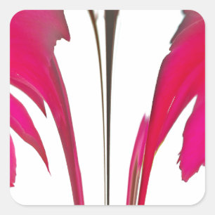 Chic amazing Red rose under the white sky.png Square Sticker