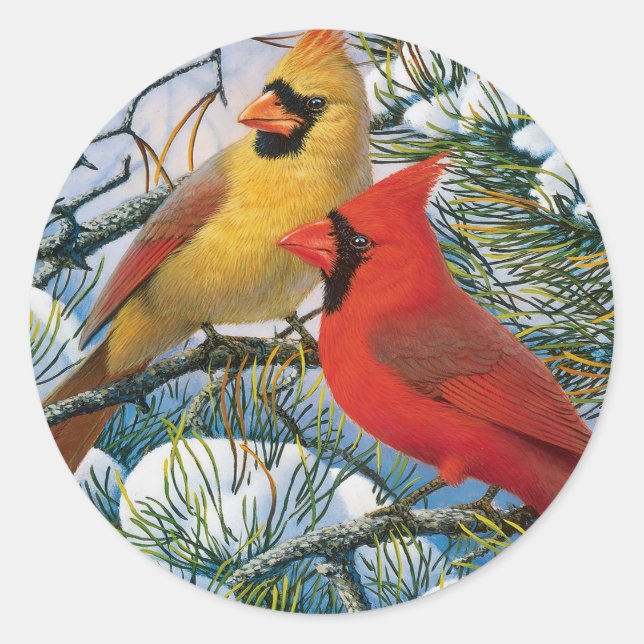 Chic Beautiful Red Cardinals And Snow Christmas Classic Round Sticker (Front)