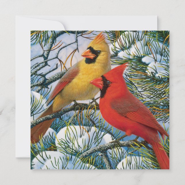 Chic Beautiful Red Cardinals And Snow Christmas Holiday Card (Front)