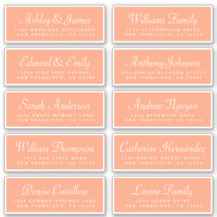 Chic Calligraphy Orange Guest Address Labels