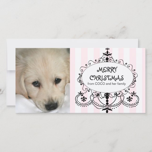 Chic Chandelier Dog Christmas Photo Card (Front)