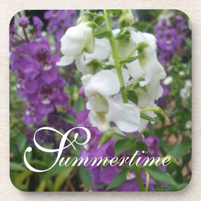 CHIC COASTER SET_"Summertime" ANGELONIA (Front)