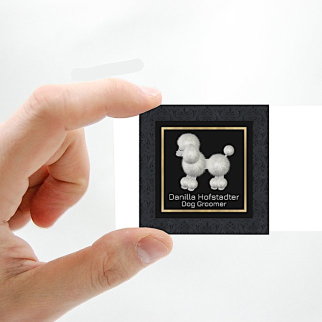 Chic Damask Dog Groomer Square Business Card (Creator Uploaded)