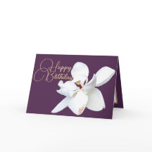 Chic Floral White Magnolia Flower Purple Birthday