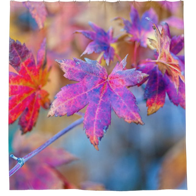 Chic Japanese Maple leaves Shower Curtain (Front)