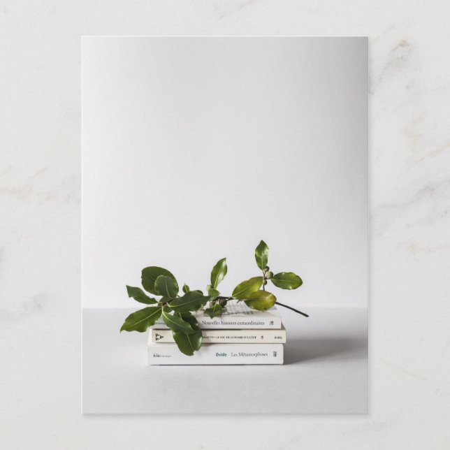 chic minimal pile of books botanical literary postcard (Front)