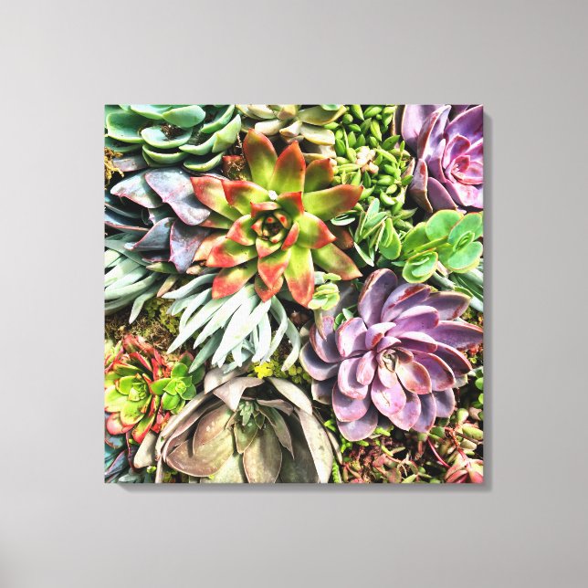 Chic Modern Colourful Succulent photo pattern Canvas Print (Front)