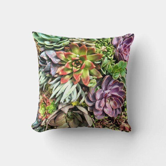 Chic Modern Colourful Succulent photo pattern Cushion (Front)