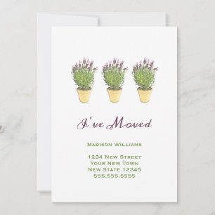 Chic  Moving Announcements   I've Moved Lavender