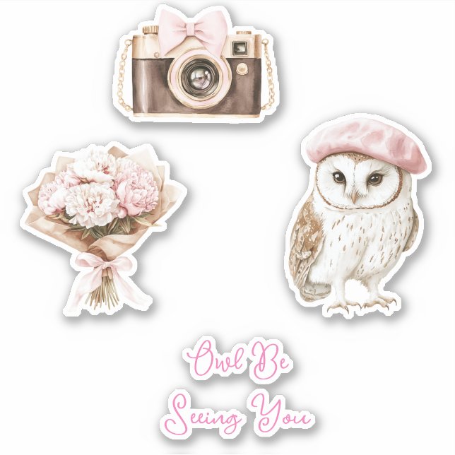 Chic Pink Beret Brown White Owl Be Seeing You (Front)