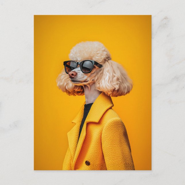 Chic Poodle in Sunglasses and Yellow Coat Postcard (Front)