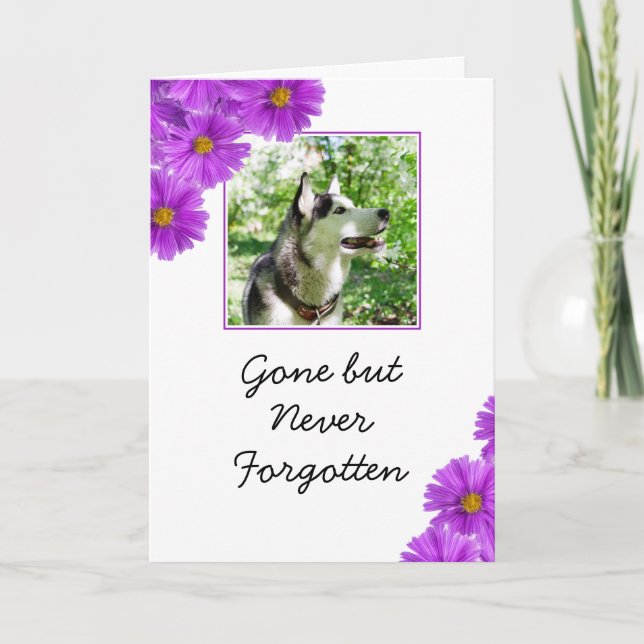 Chic Purple Flowers Pet Photo Sympathy Card (Front)