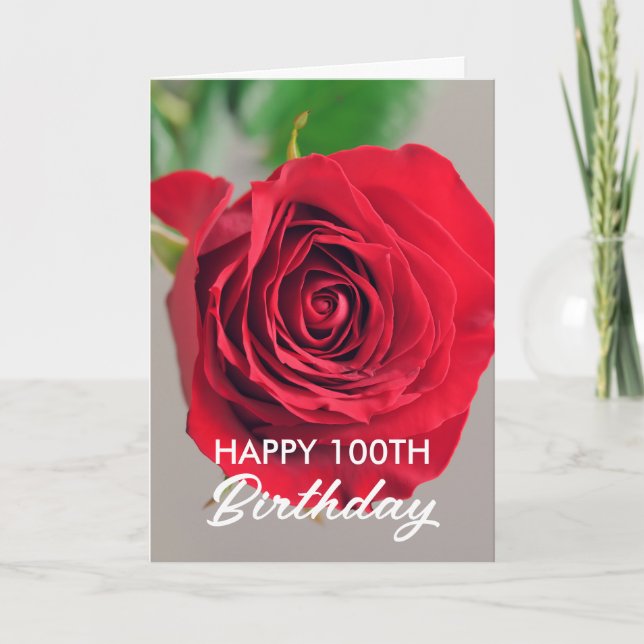 Chic Red Rose 100th Birthday Card (Front)