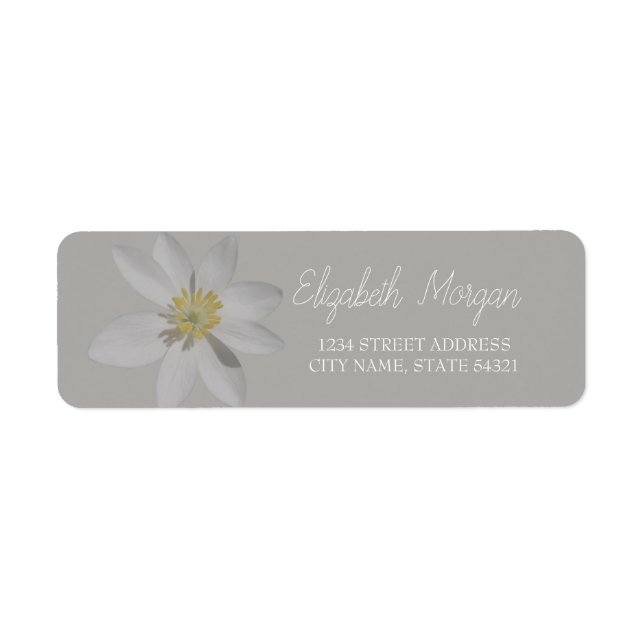 Chic Romantic White Daisy  Address Label (Front)
