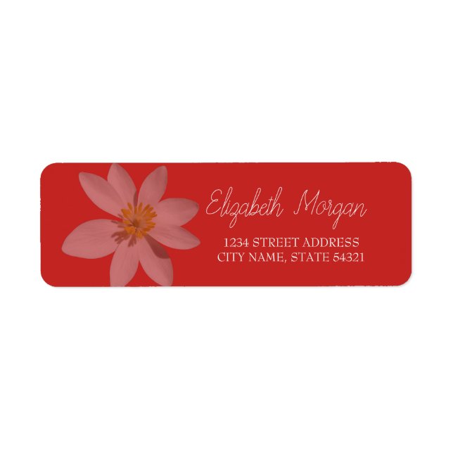 Chic Romantic White Daisy  Address Label (Front)