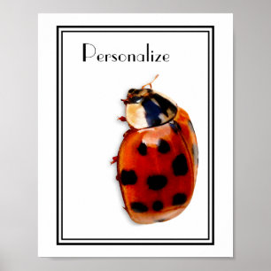 Chic Spotted Ladybug With Name Poster
