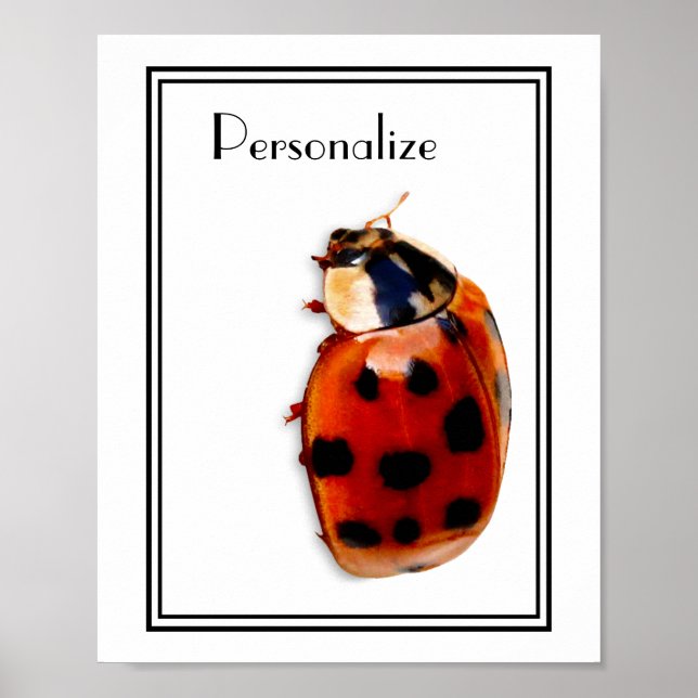 Chic Spotted Ladybug With Name Poster (Front)