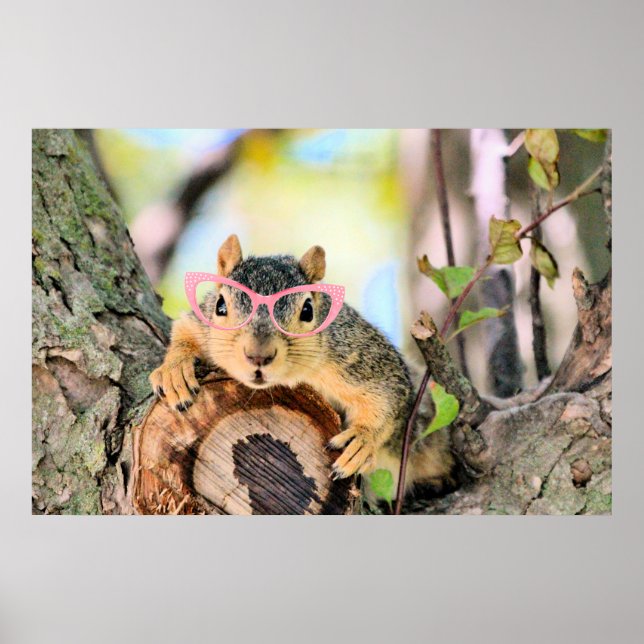 Chic squirrel poster (Front)