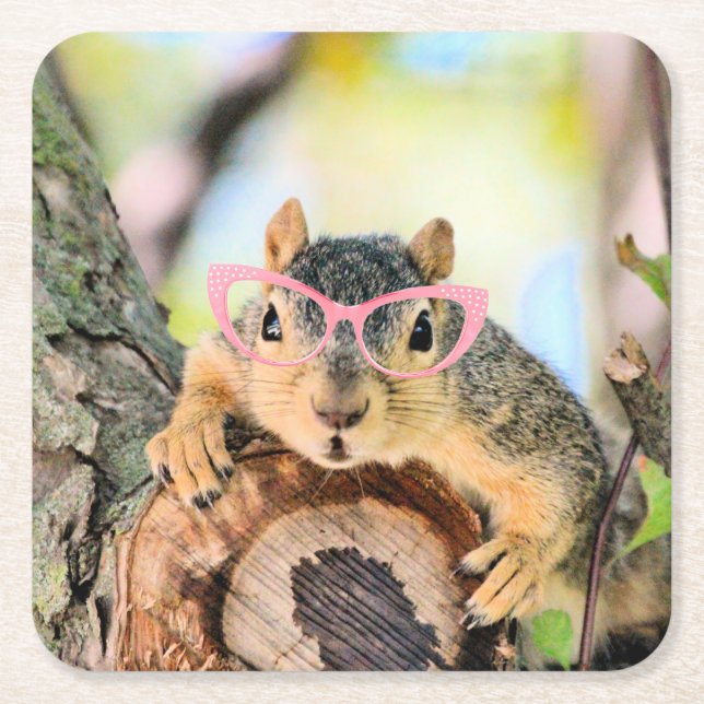 Chic squirrel square paper coaster (Front)
