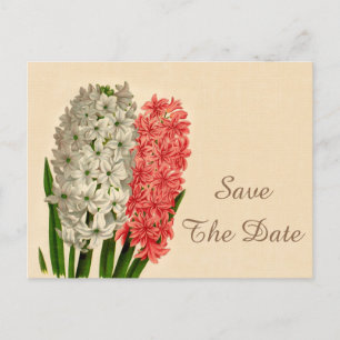 Chic Vintage Hyacinths 70th Birthday Save The Date Announcement Postcard