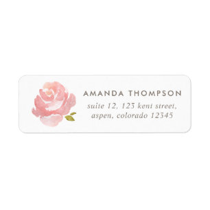 Chic Watercolor Blush Pink Rose