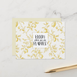 Chic Yellow Lemons Fruit Bloom Postcard