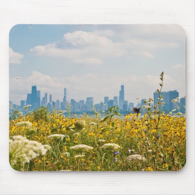 Chicago as seen from Montrose Harbour's bird Mouse Pad (Front)