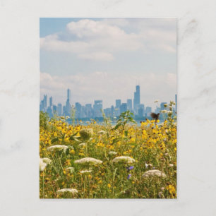 Chicago as seen from Montrose Harbour's bird Postcard