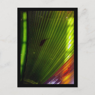 chicago botanic garden postcard