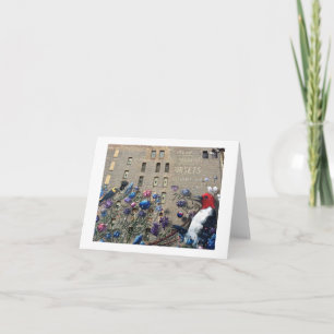 Chicago Building Art Graffiti Travel Note Card