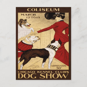 Chicago Kennel Club's Dog Show 1902 Postcard