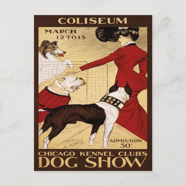 Chicago Kennel Club's Dog Show 1902 Postcard (Front)