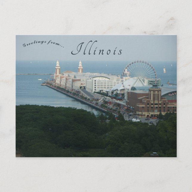 Chicago Navy Pier Illinois Postcard (Front)