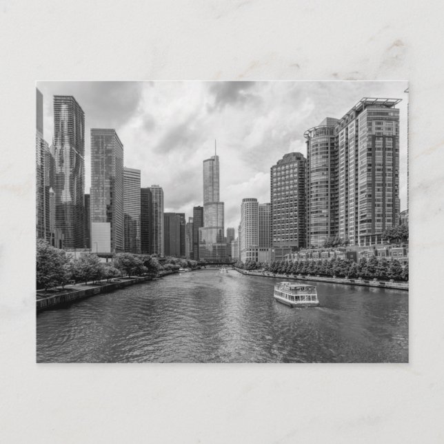 Chicago River And Trump Tower Grayscale Postcard (Front)