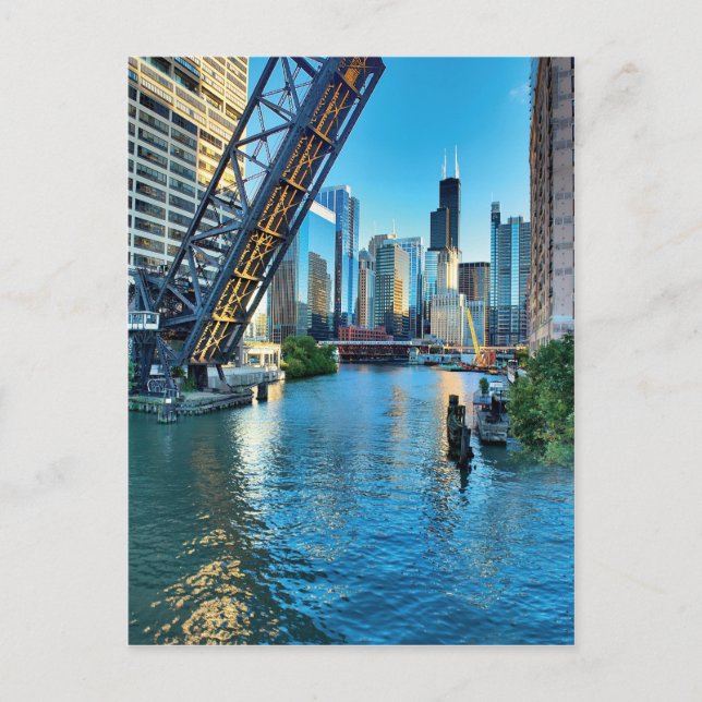 Chicago River and Willis Tower Postcard (Front)
